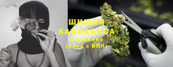 сатива Заволжск