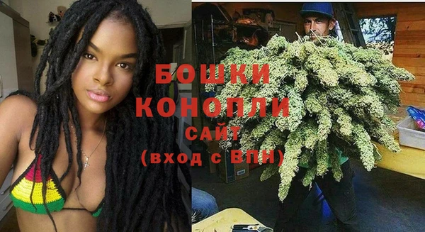 альфа пвп Заводоуковск