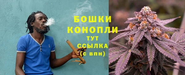 альфа пвп Заводоуковск