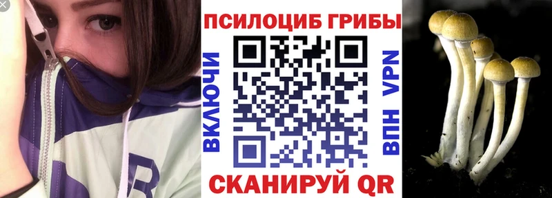 Галлюциногенные грибы прущие грибы  Купить где  Валдай 
